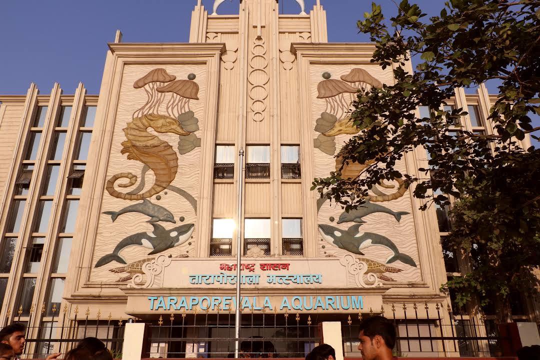 Aquarium Taraporewala